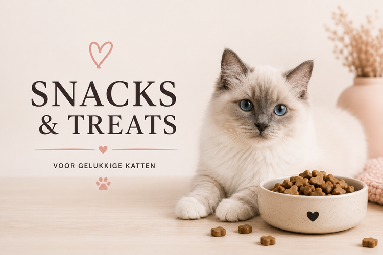 Snacks & Treats