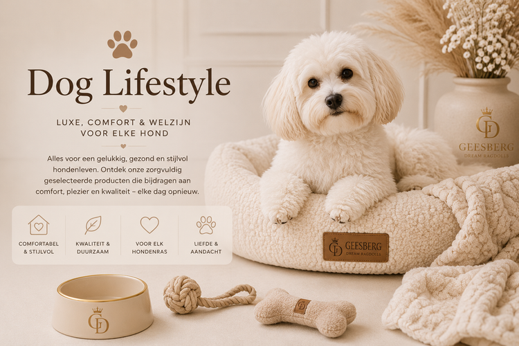 Dog Lifestyle
