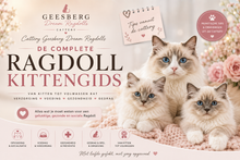 E-book: De complete Ragdoll kittengids