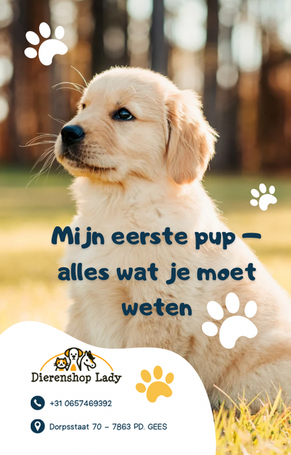 E-book: Gratis download Mijn eerste Pup