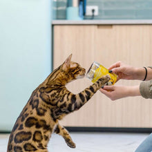 Little Big Paw - Gourmet Chicken Mousse - Dierenshop Lady