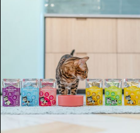 Little Big Paw - Gourmet Multipack Seafood Mousse - Dierenshop Lady
