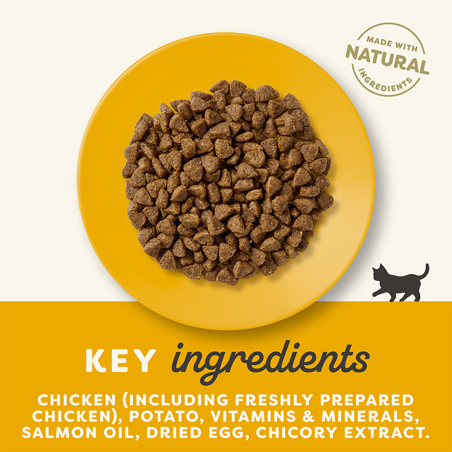 Applaws - Kitten Dry - Dierenshop Lady