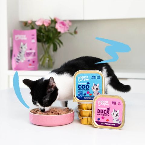 Edgard & Cooper - Free-run duck and chicken paté for kittens - Dierenshop Lady