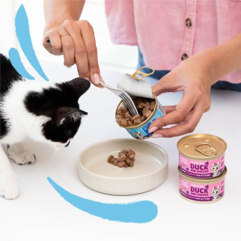 Edgard & Cooper - Kittens MSC cod and free-run chicken chunks in sauce - Dierenshop Lady