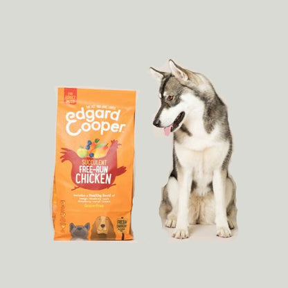 Edgard & Cooper - Adult Fresh-Run Chicken with mango, blueberry, apple and carrot - Dierenshop Lady