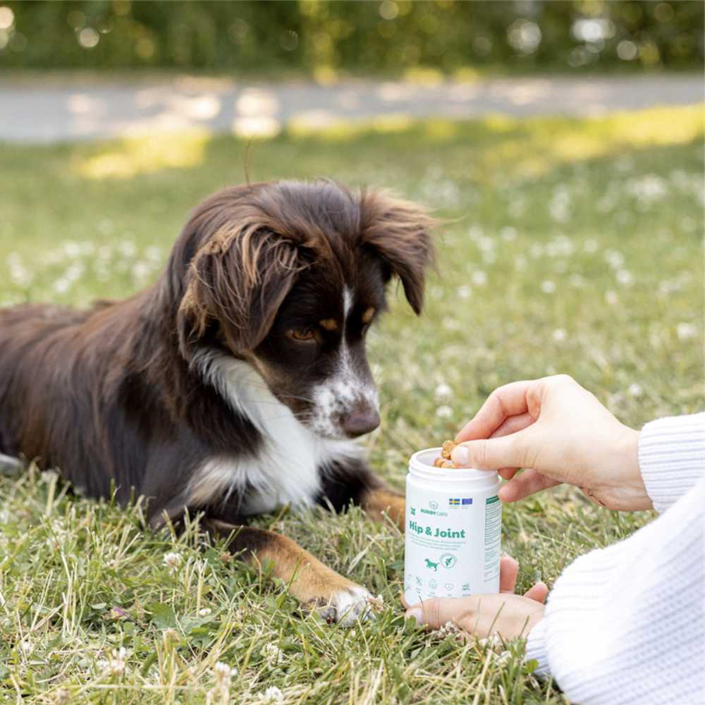 BUDDY - Care Hip & Joint