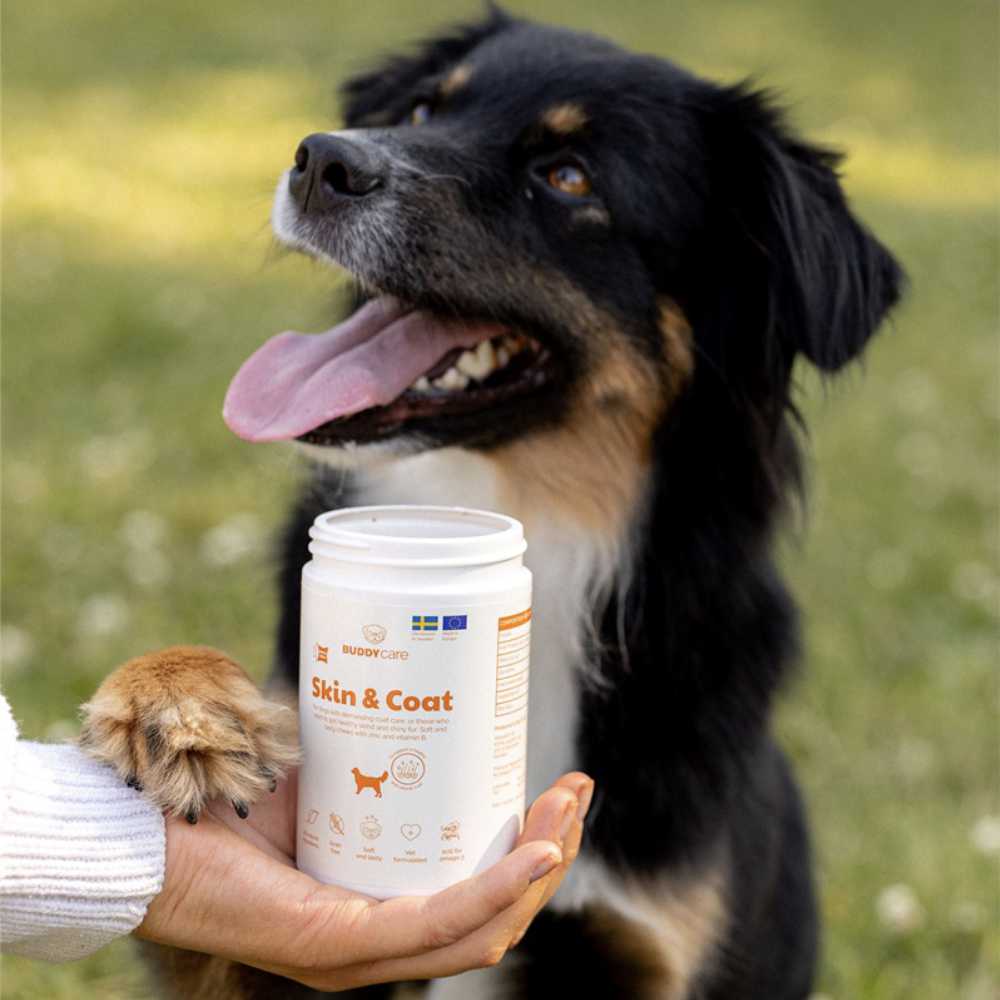 BUDDY - Care Skin & Coat